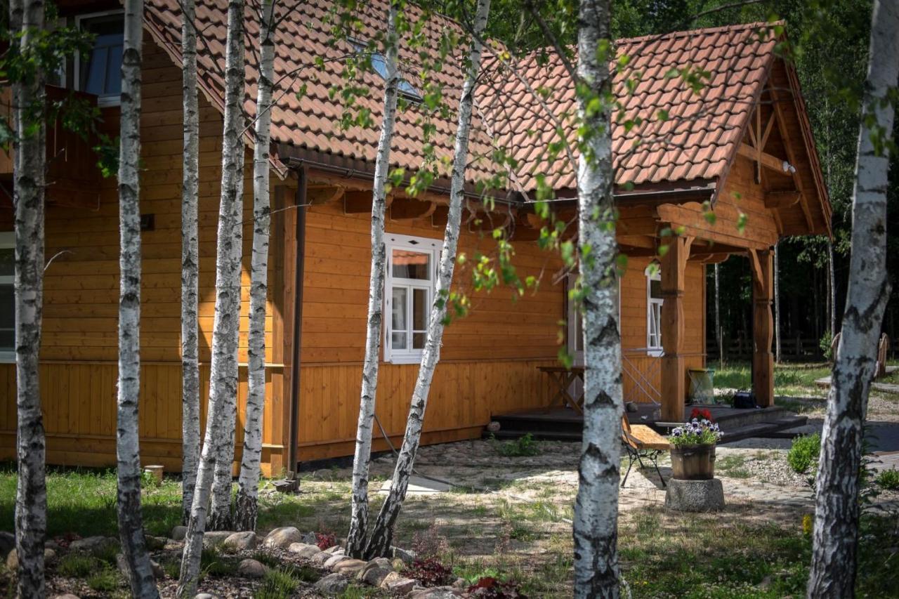 Miodowa Kolonia Bed & Breakfast Bialowieza Exterior photo